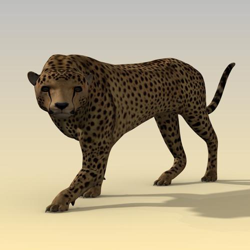 Cheetah Redux preview image
